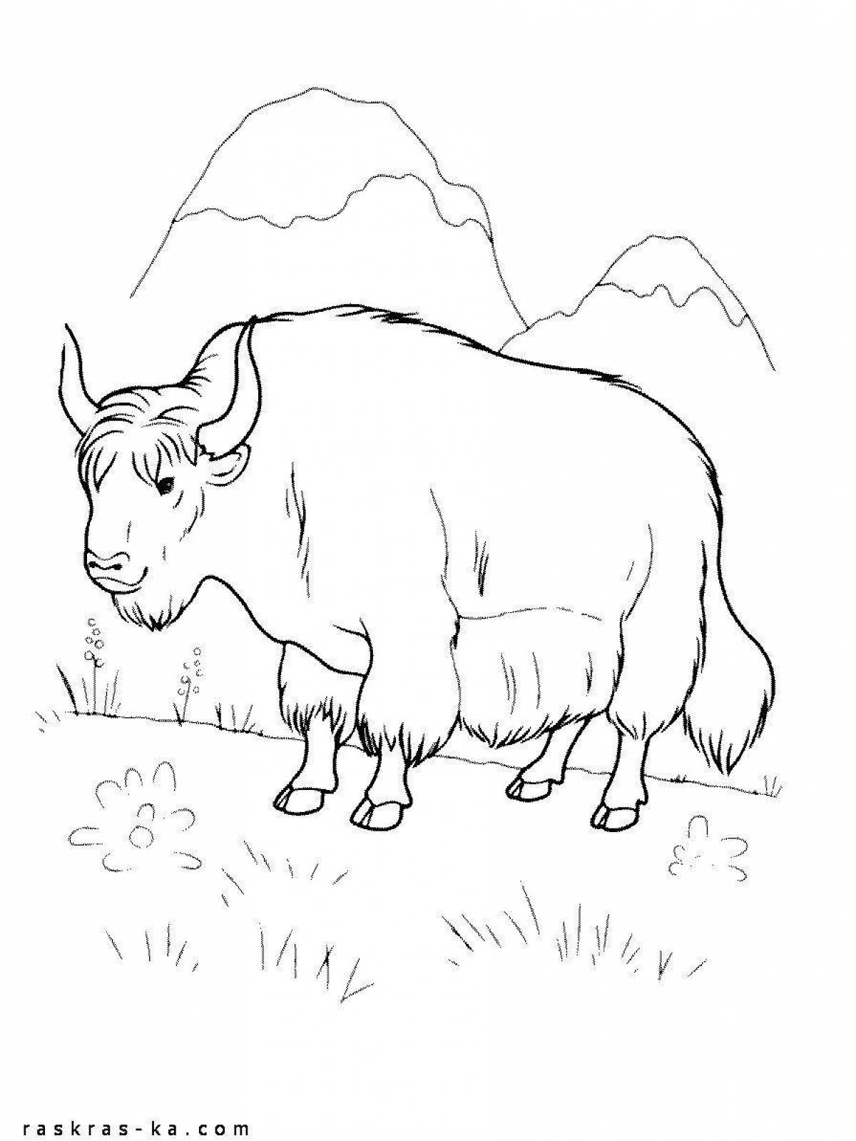 Violent bison coloring book