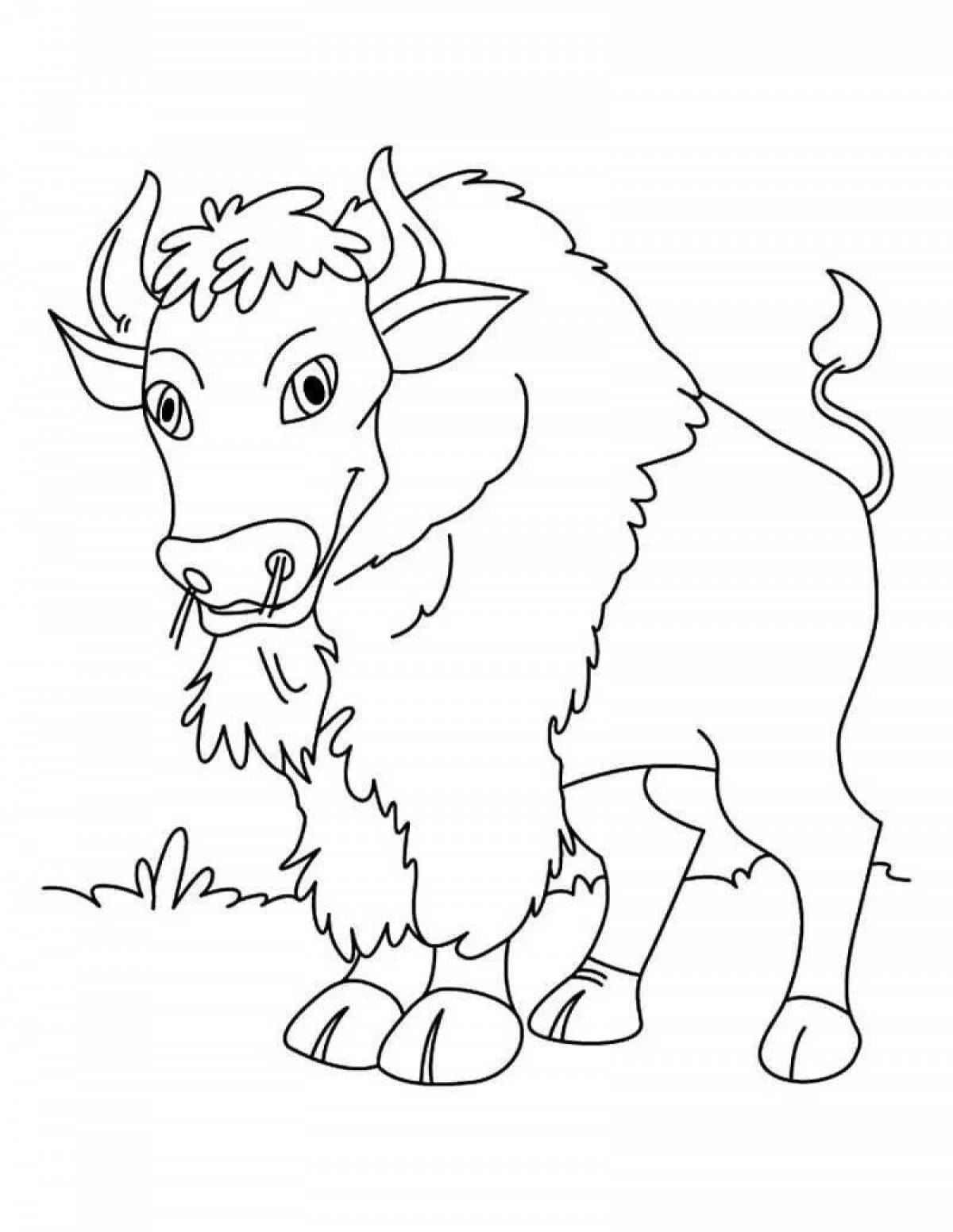 Colorful bison coloring page