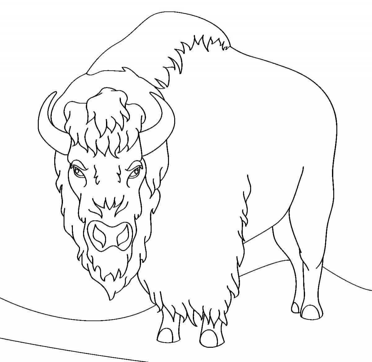 Brightly colored bison coloring page