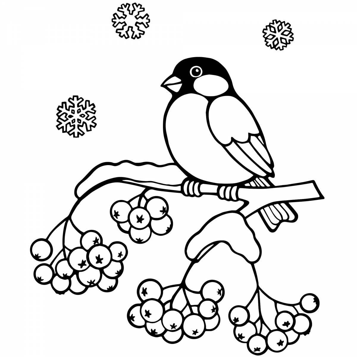 Раскраска экзотические зимующие птицы