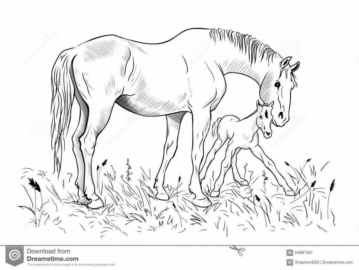 Fine coloring of horses grazing