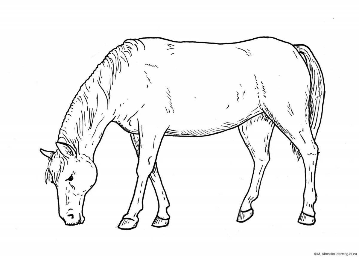 Radiant coloring page horses are grazing