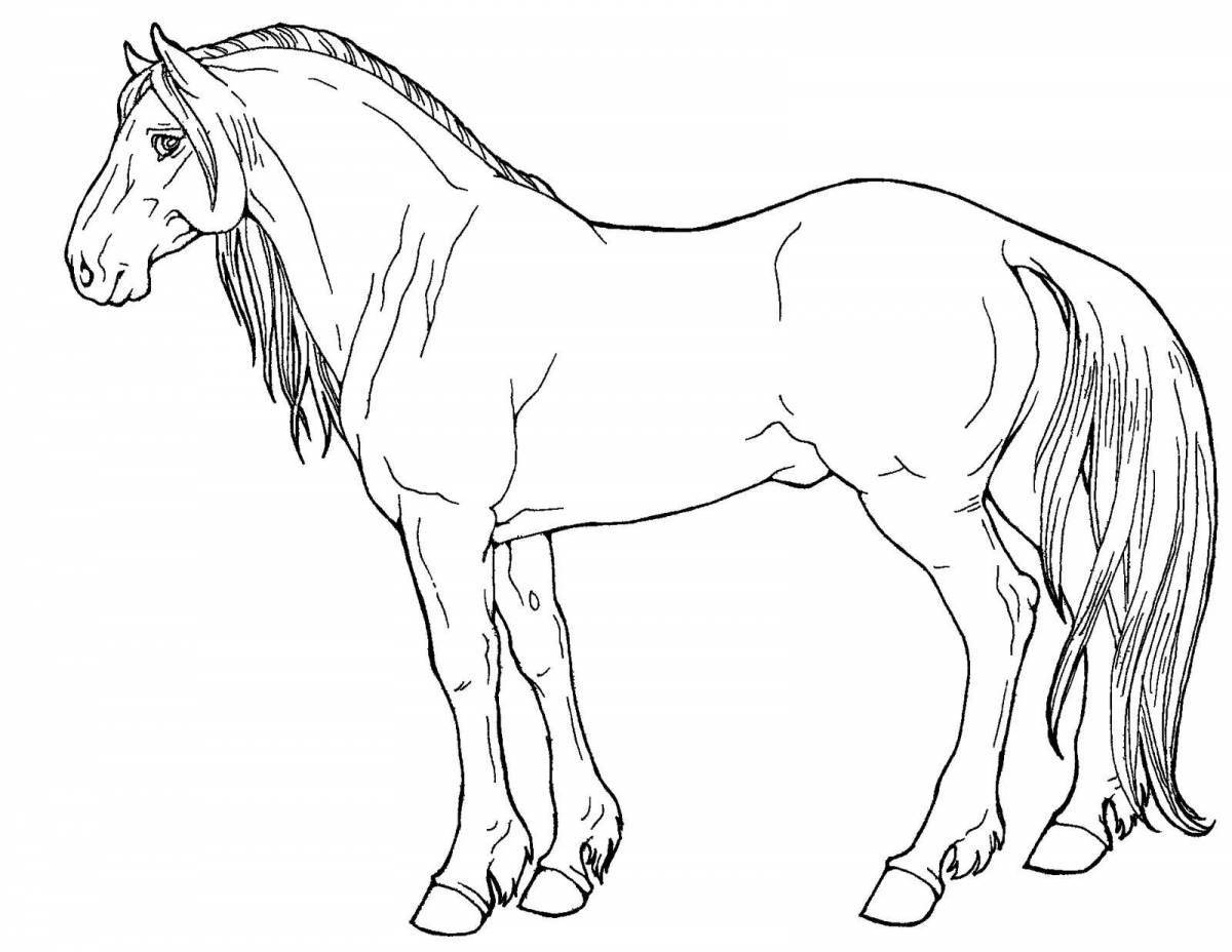 Coloring page poised horses are grazing