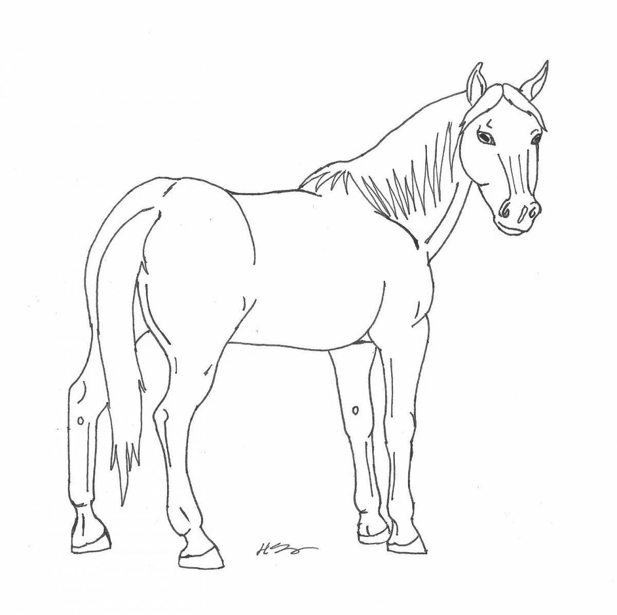 Coloring page serendipitous horses grazing