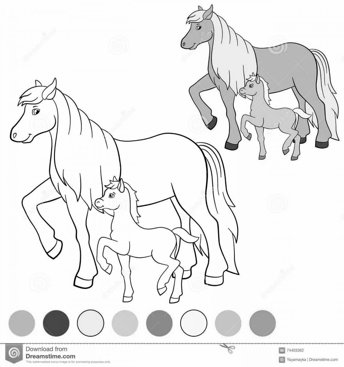 Playful coloring of horses grazing