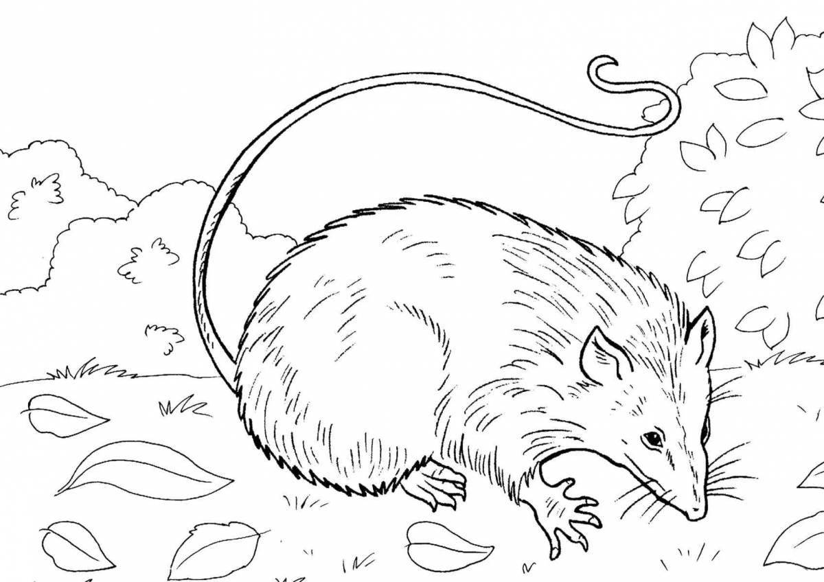 Fun coloring pages of animals from the red book for children