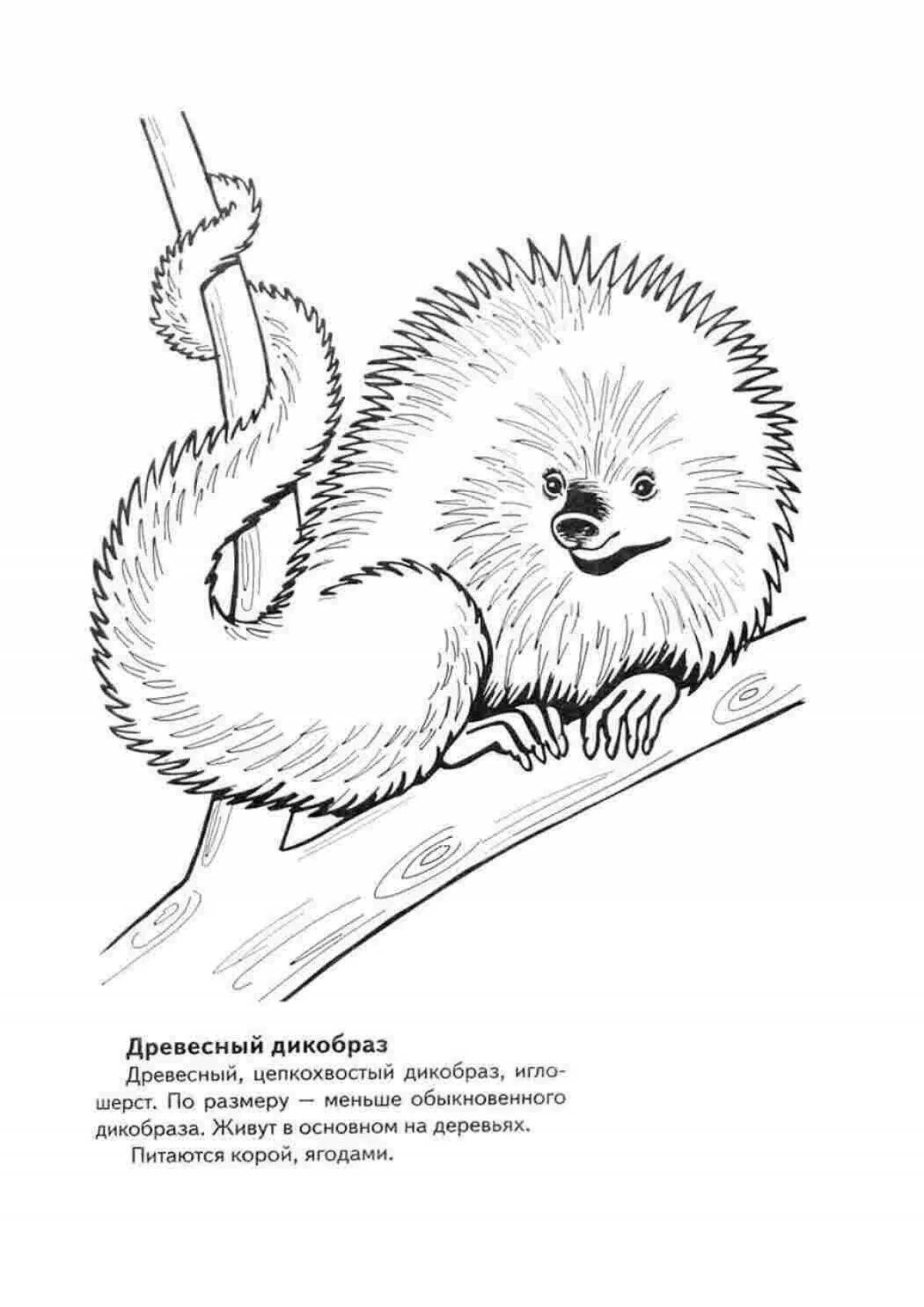 Interesting red book animal coloring pages for kids