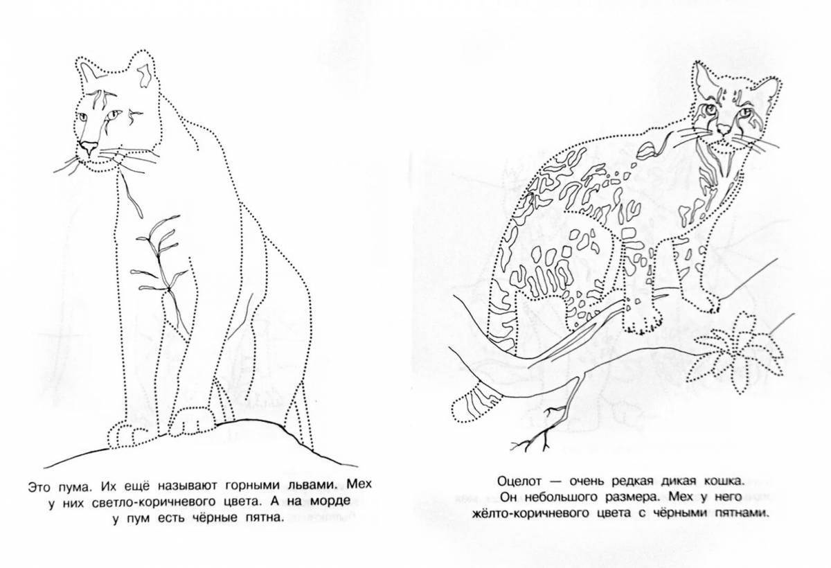 Драматические раскраски животных из красной книги для детей
