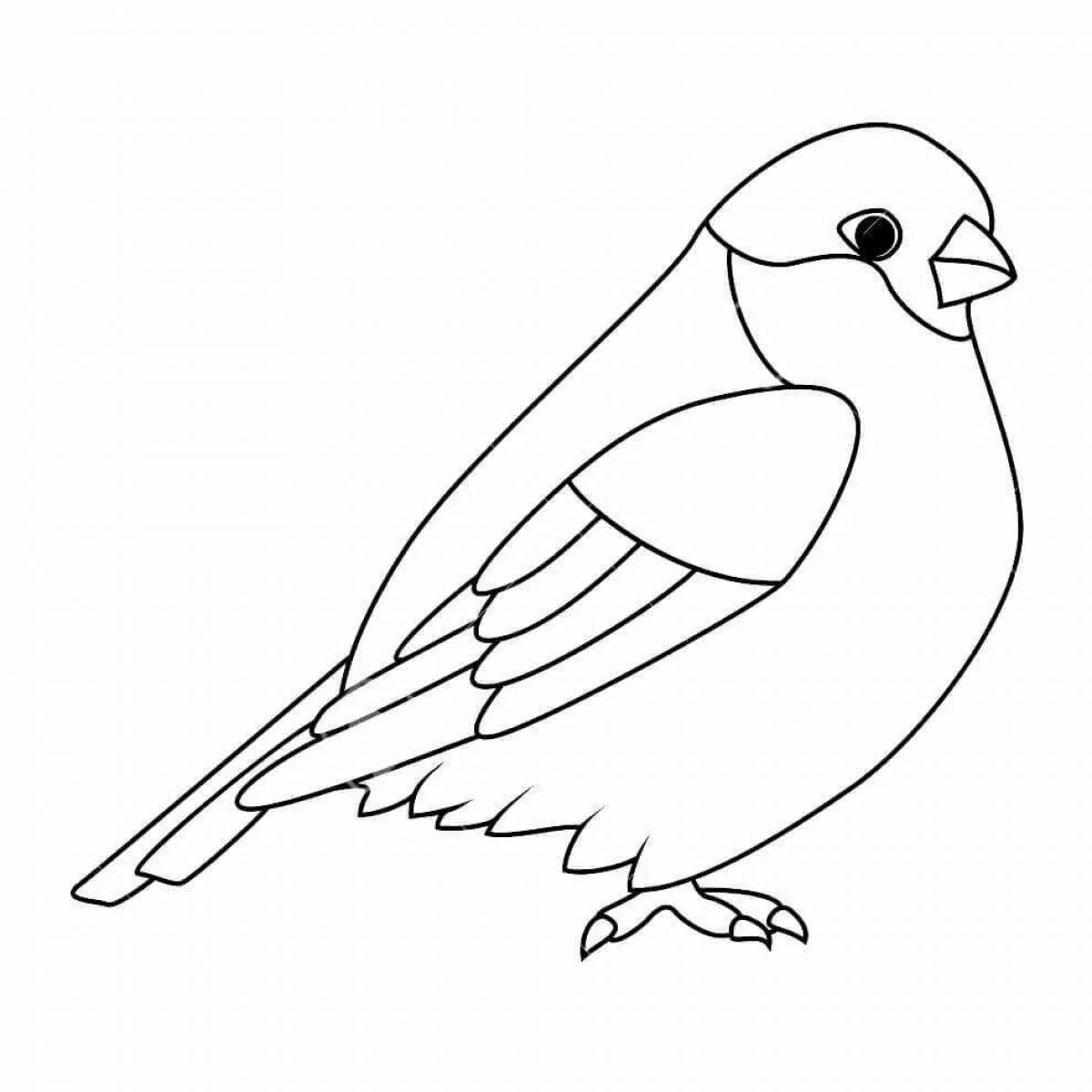 Colorful bullfinch and tit coloring book