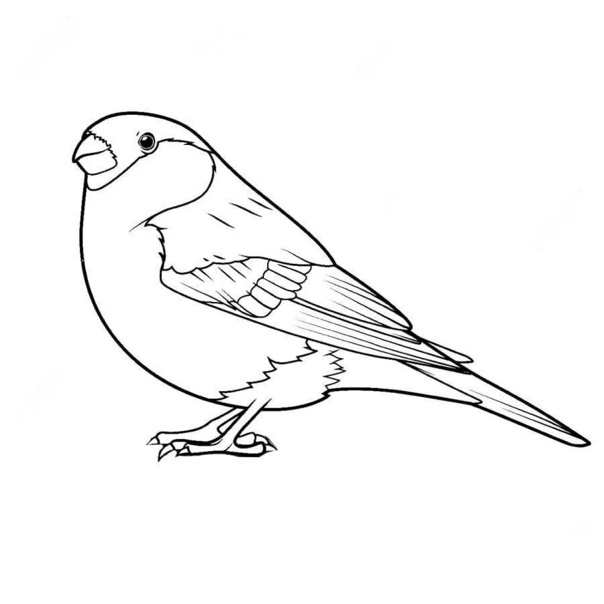 Adorable bullfinch and tit coloring book