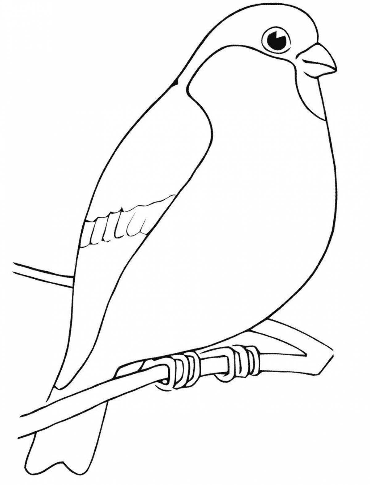 Coloring book charming bullfinch and titmouse