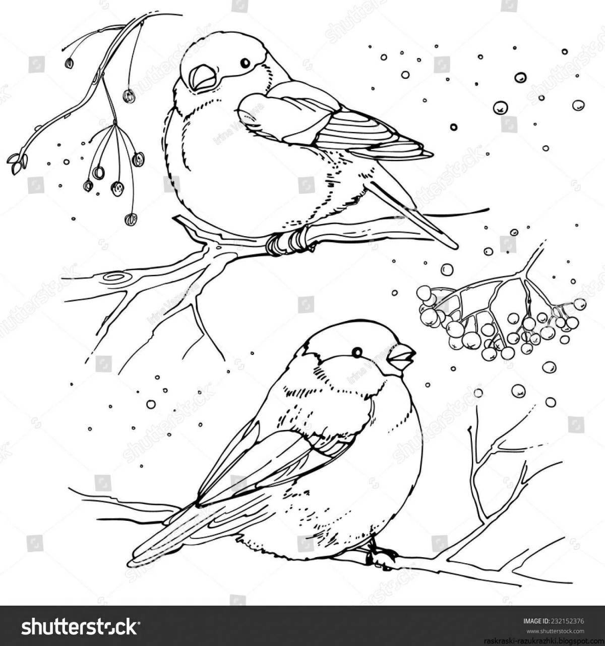 Coloring book exquisite bullfinch and titmouse