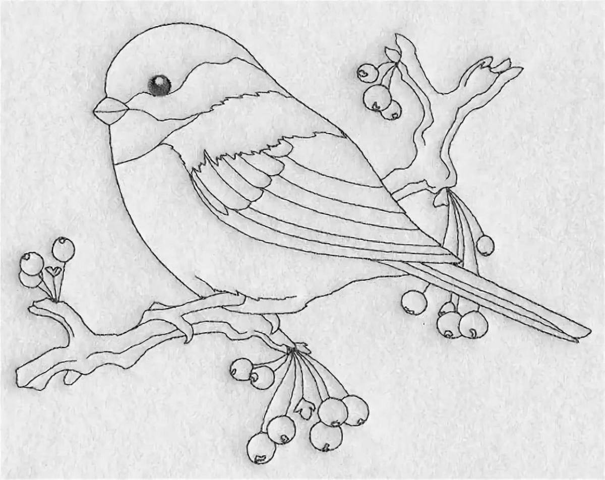 Coloring book wonderful bullfinch and titmouse