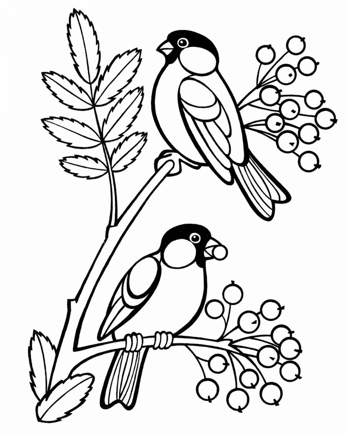 Coloring book amazing bullfinch and titmouse