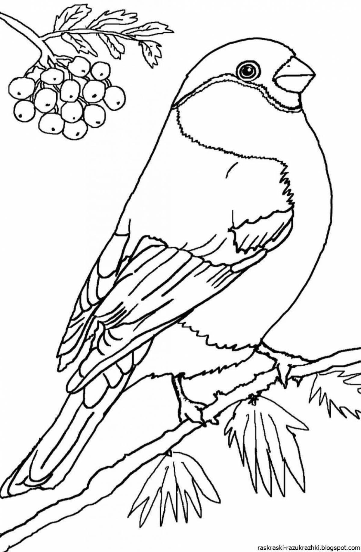 Coloring fairytale bullfinch and titmouse