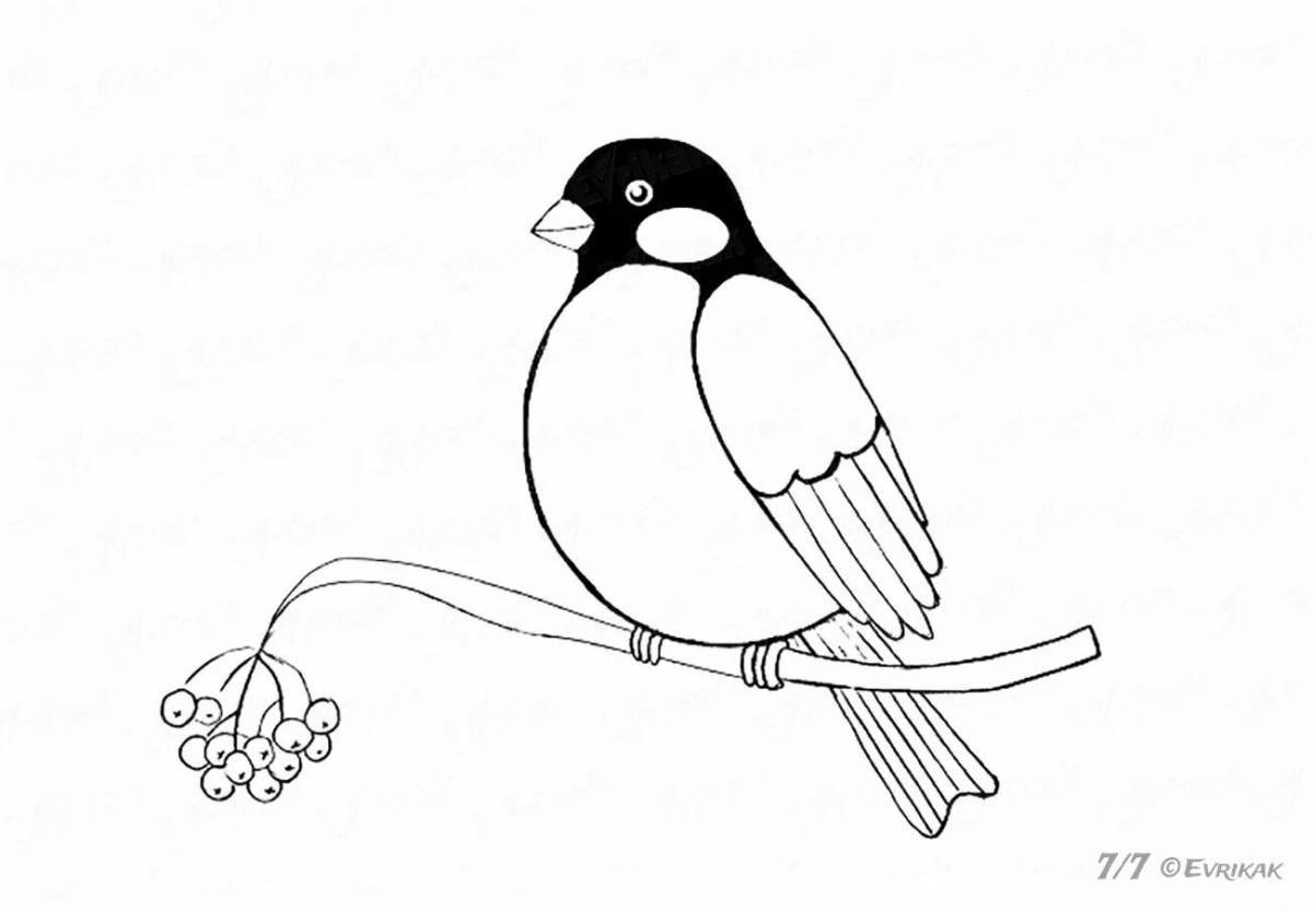 Bright drawing of a bullfinch on a rowan branch