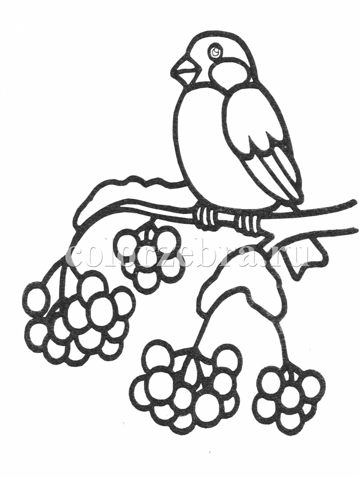 A fascinating drawing of a bullfinch on a rowan branch