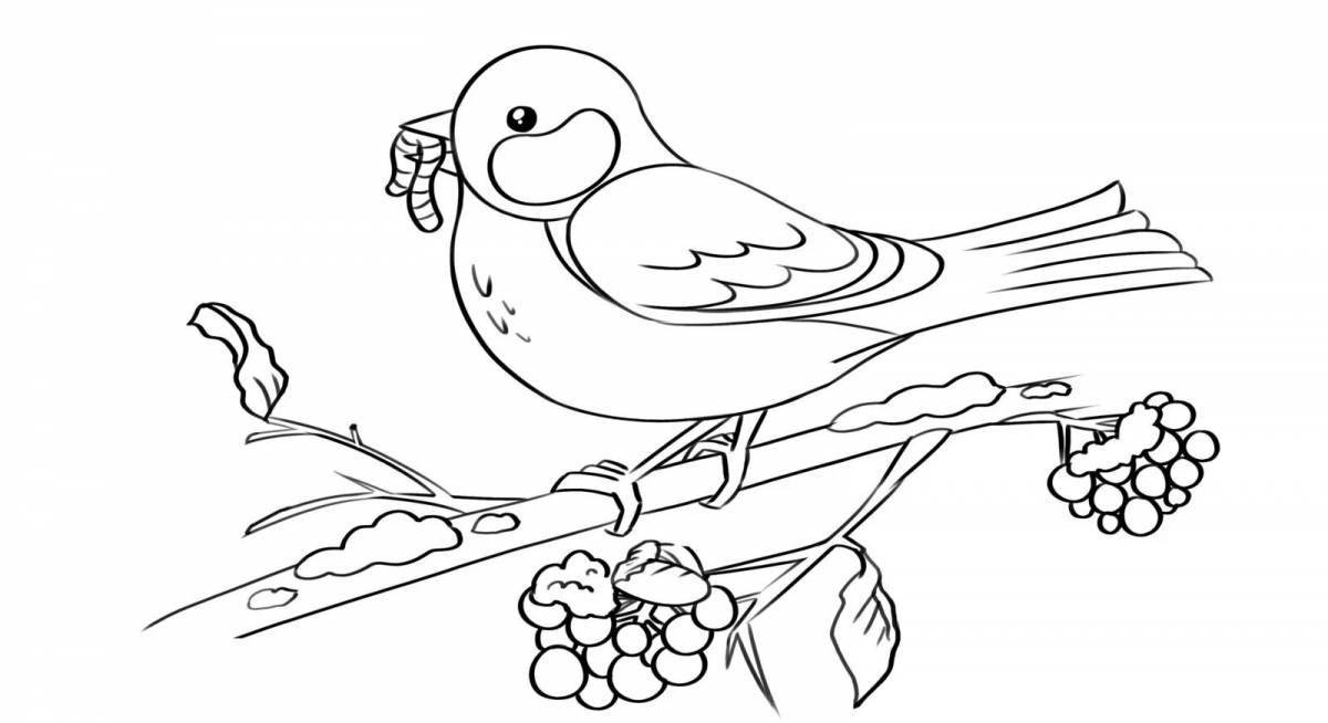 A shiny bullfinch draws on a rowan branch