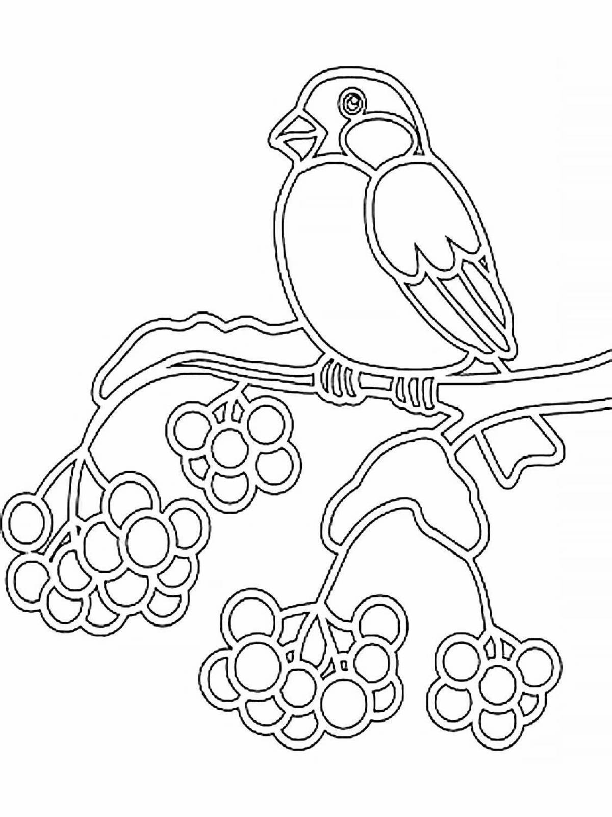 Cute drawing of a bullfinch on a rowan branch