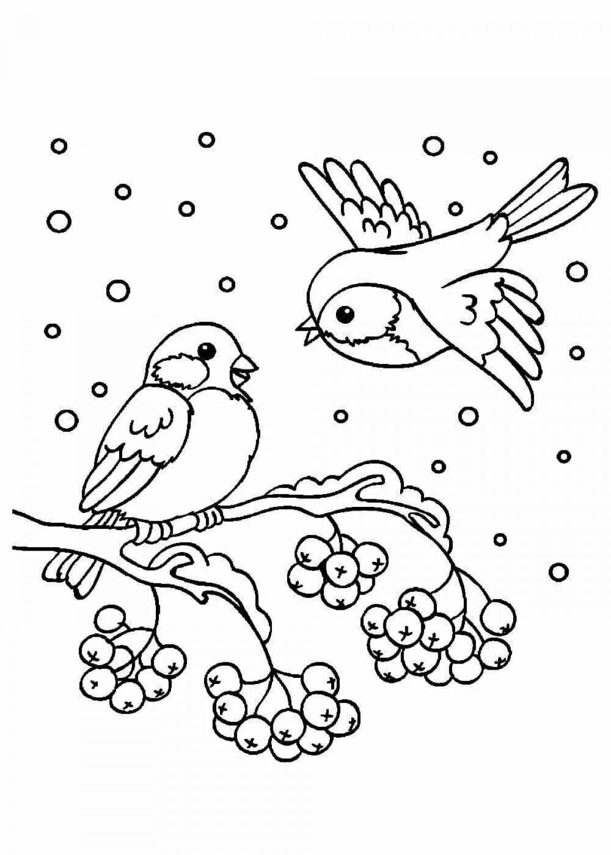 Игривый снегирь рисует на ветке рябины