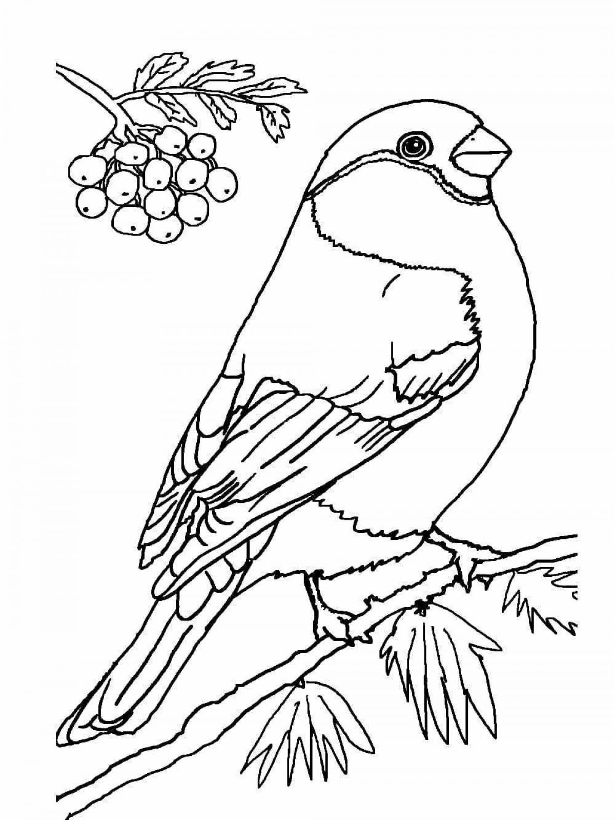 Complex drawing of a bullfinch on a rowan branch