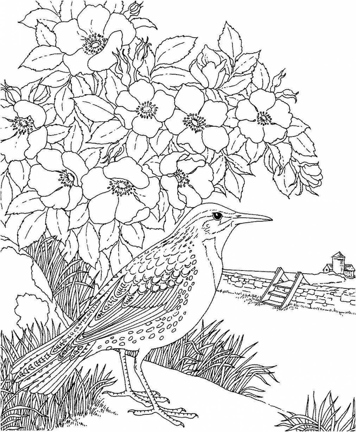 Amazing coloring pages for girls nature and flowers animals