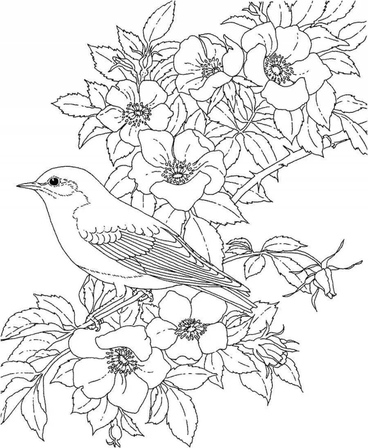 Joyful coloring for girls nature and flowers animals