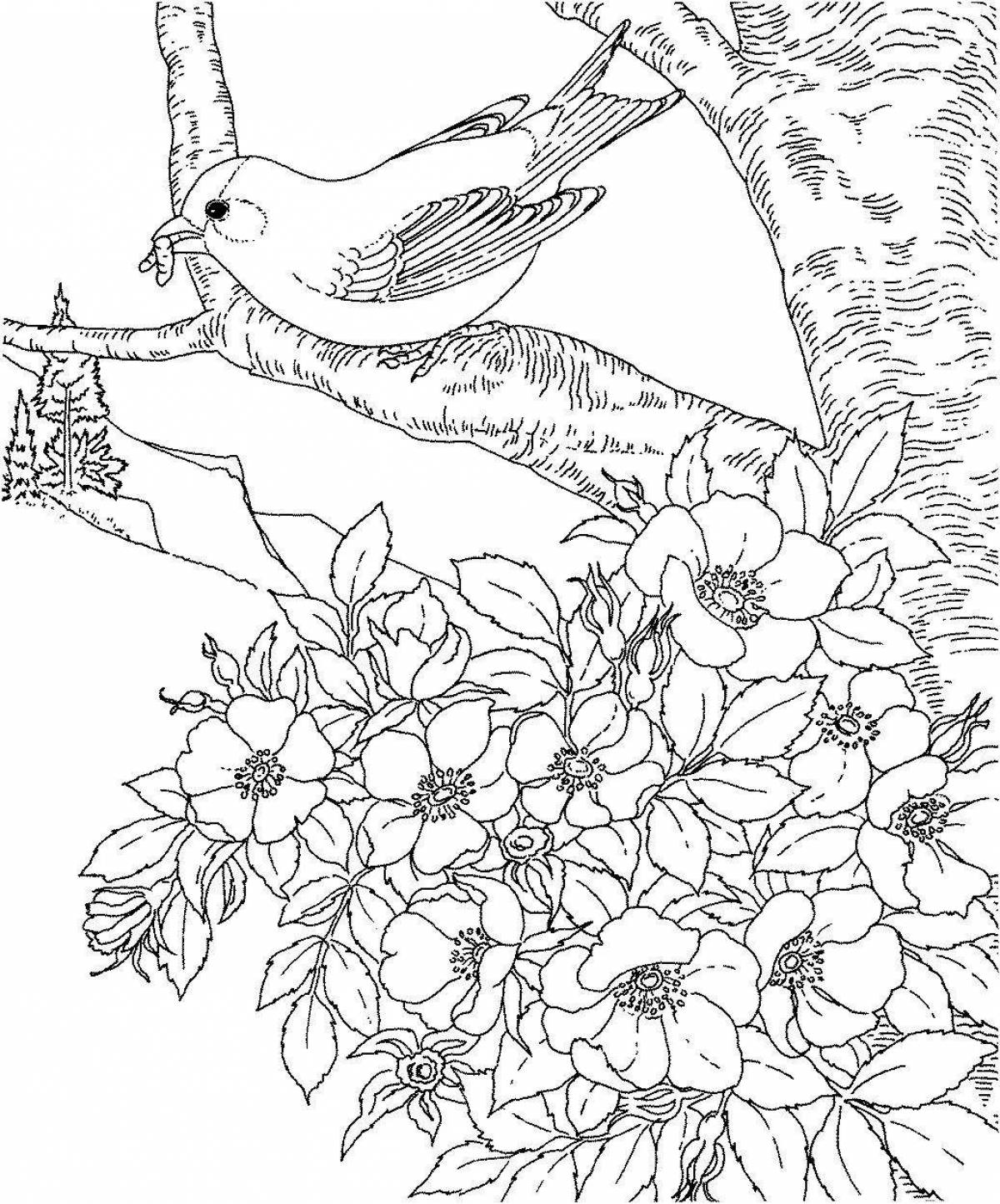 Fancy coloring for girls nature and flowers animals