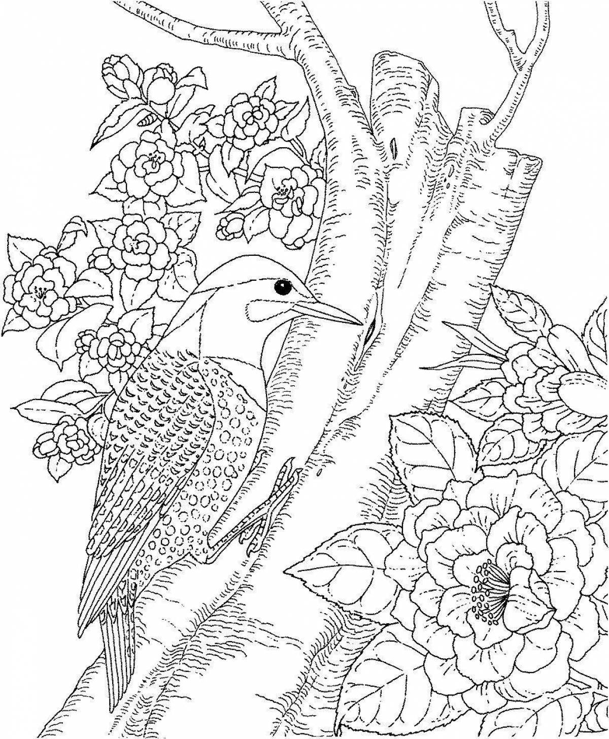 Экзотическая раскраска для девочек природа и цветы животные