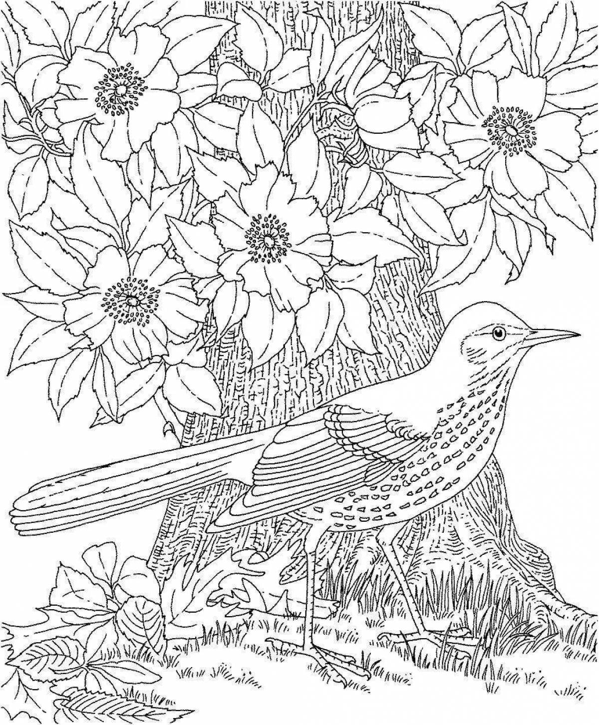 Coloring for girls nature and flowers animals