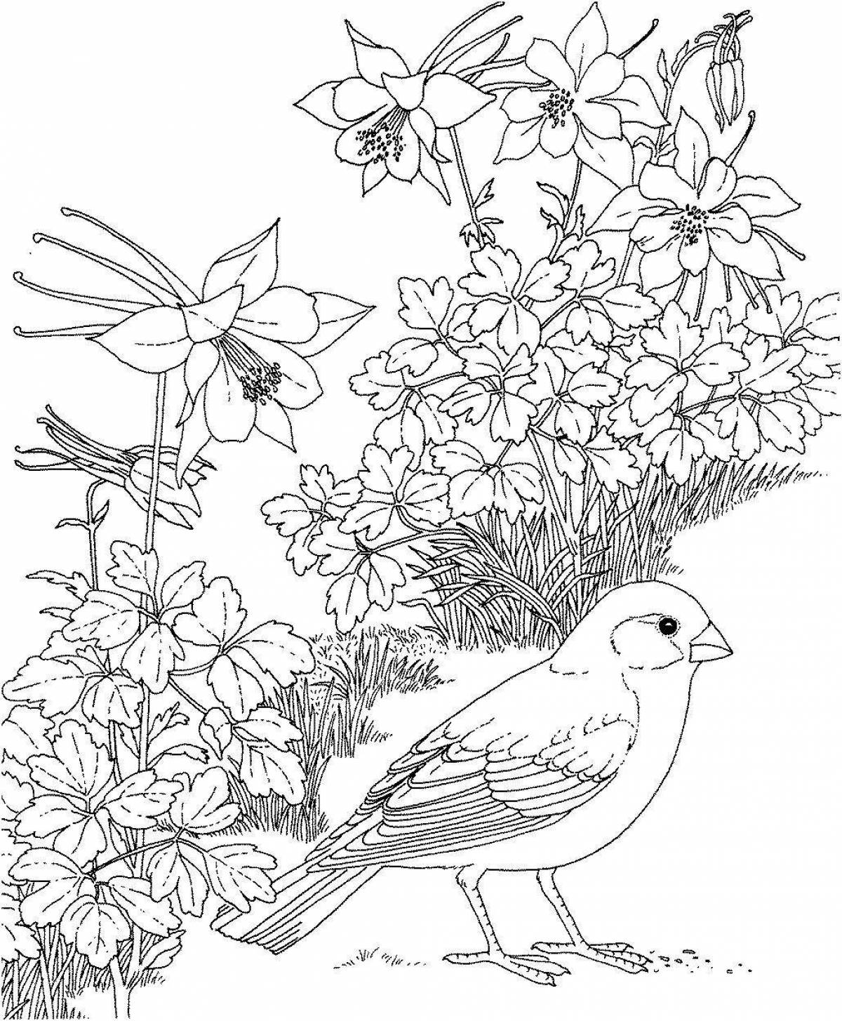 Exalted coloring pages for girls nature and flowers animals
