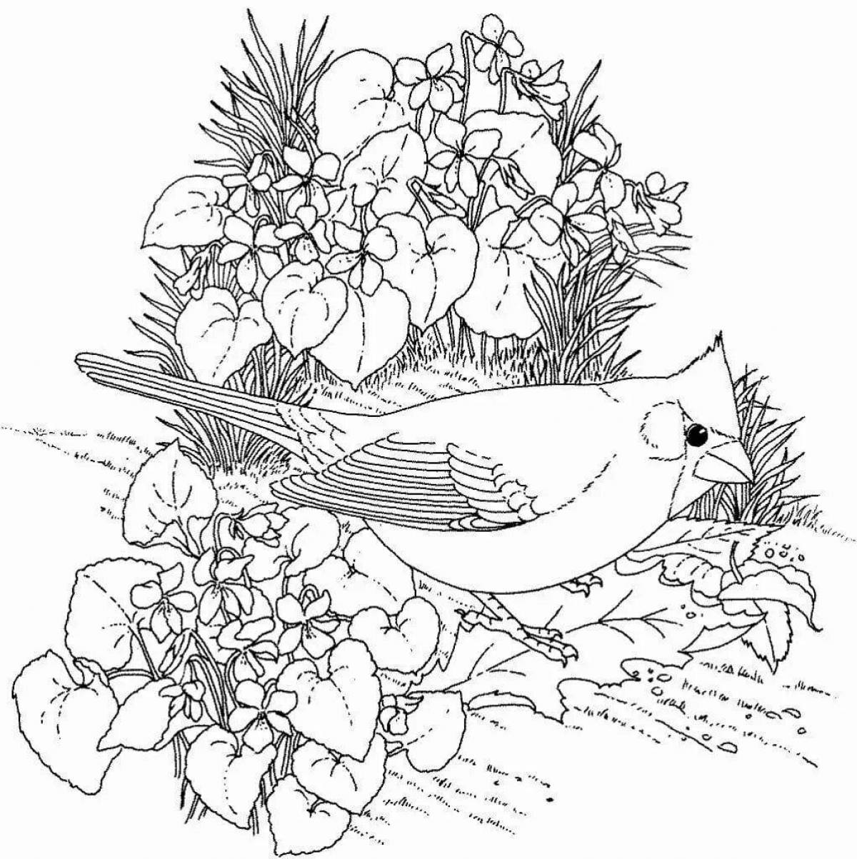 «Райские цветы и птицы» - описание книги | Метровые креативные раскраски | Издательство АСТ