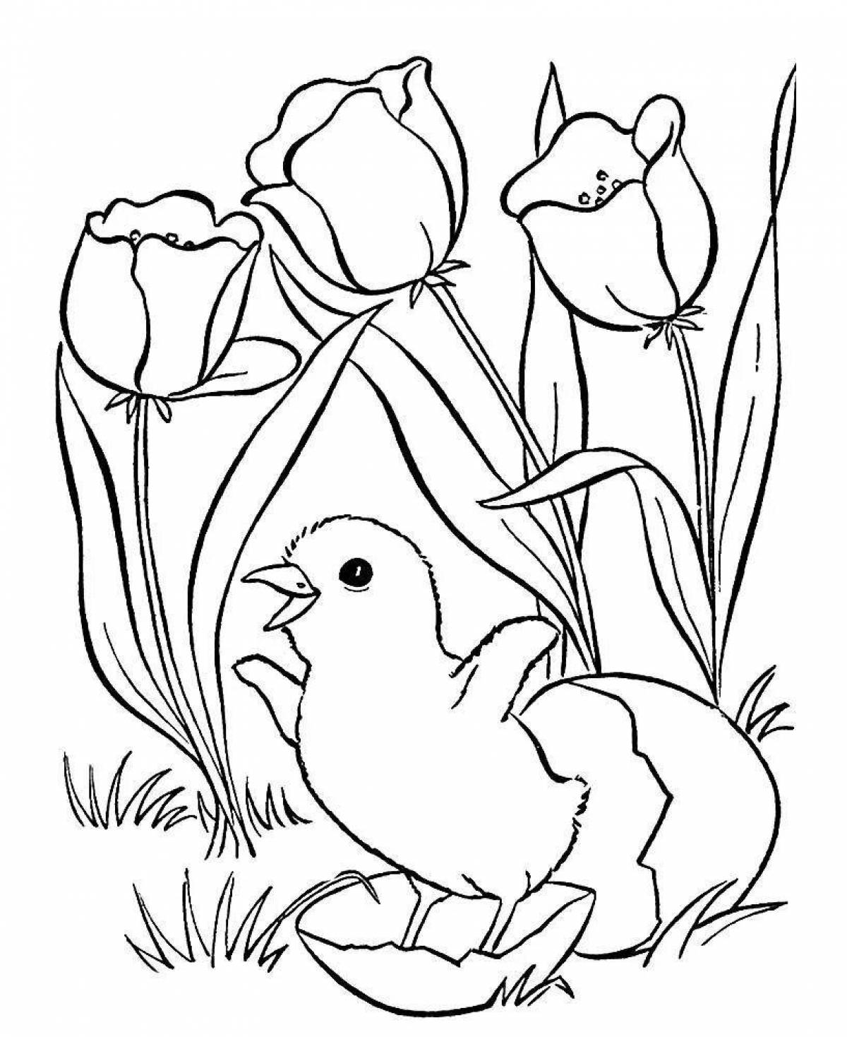 Exciting coloring for girls nature and flowers animals
