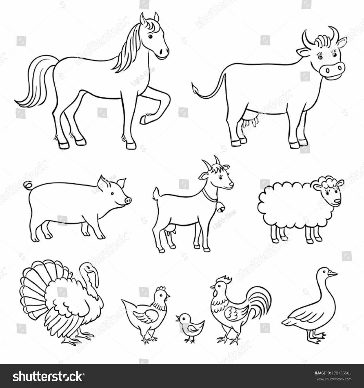 Coloring book playful wild animals