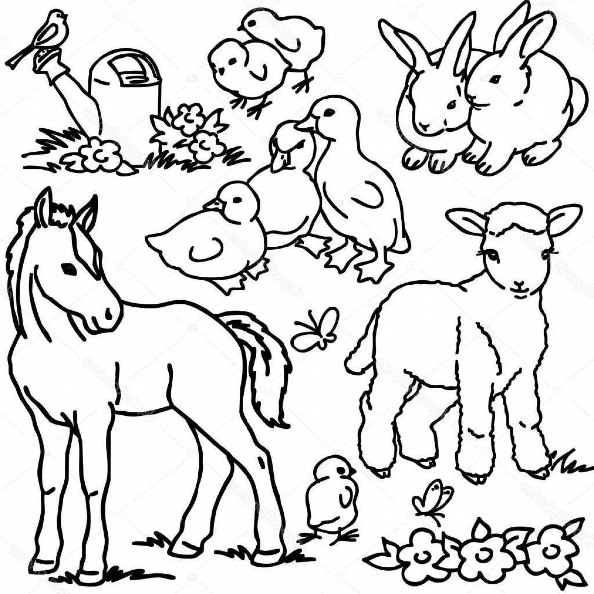 Colourful pets coloring book