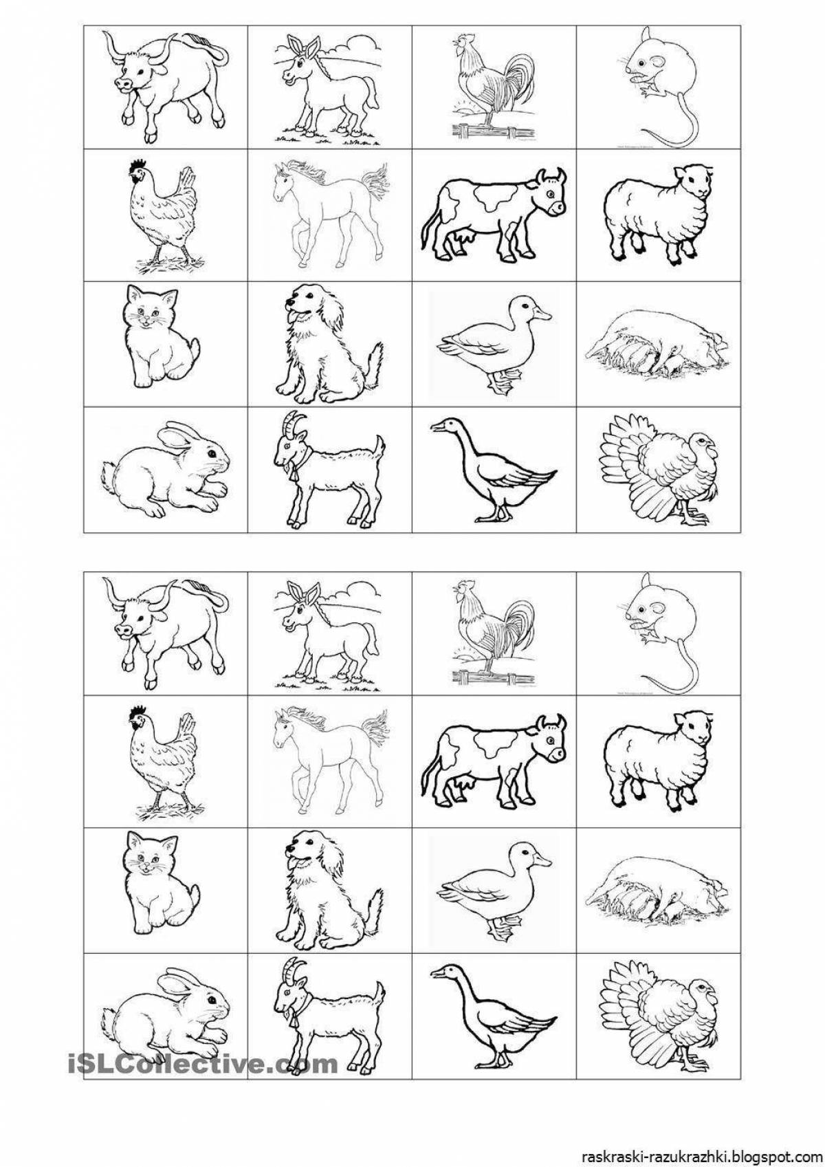Amazing pets coloring book