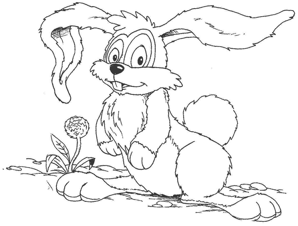 Доблестный храбрый заяц с длинными ушами