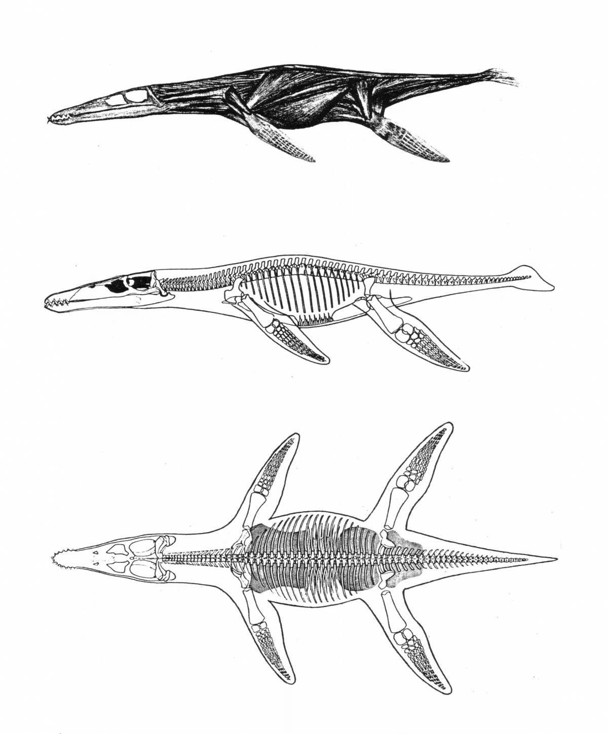 Lyopleurodon majestic coloring