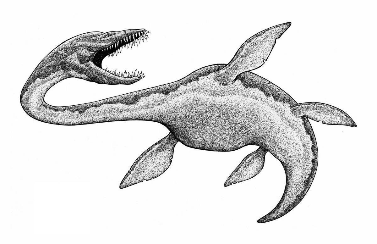 Charming liopleurodon coloring book