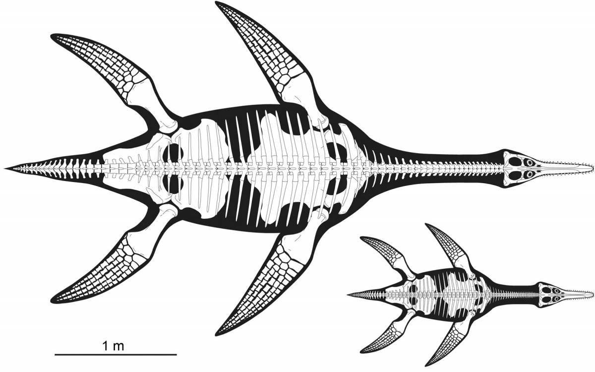 Sublime coloring page liopleurodon