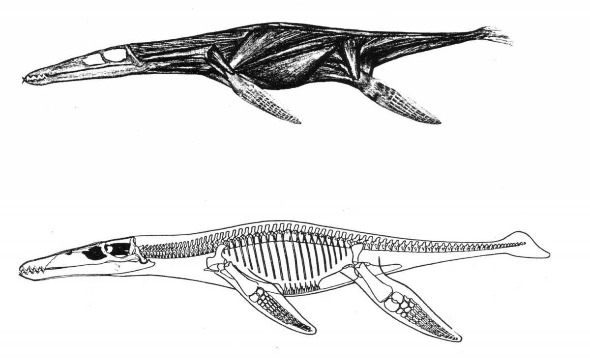 Liopleurodon royal coloring