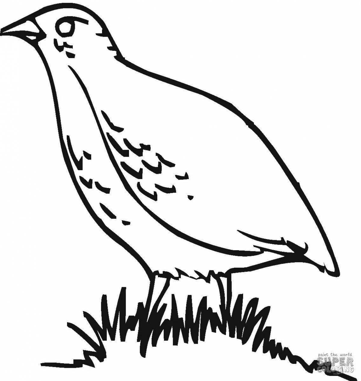Live grow coloring page