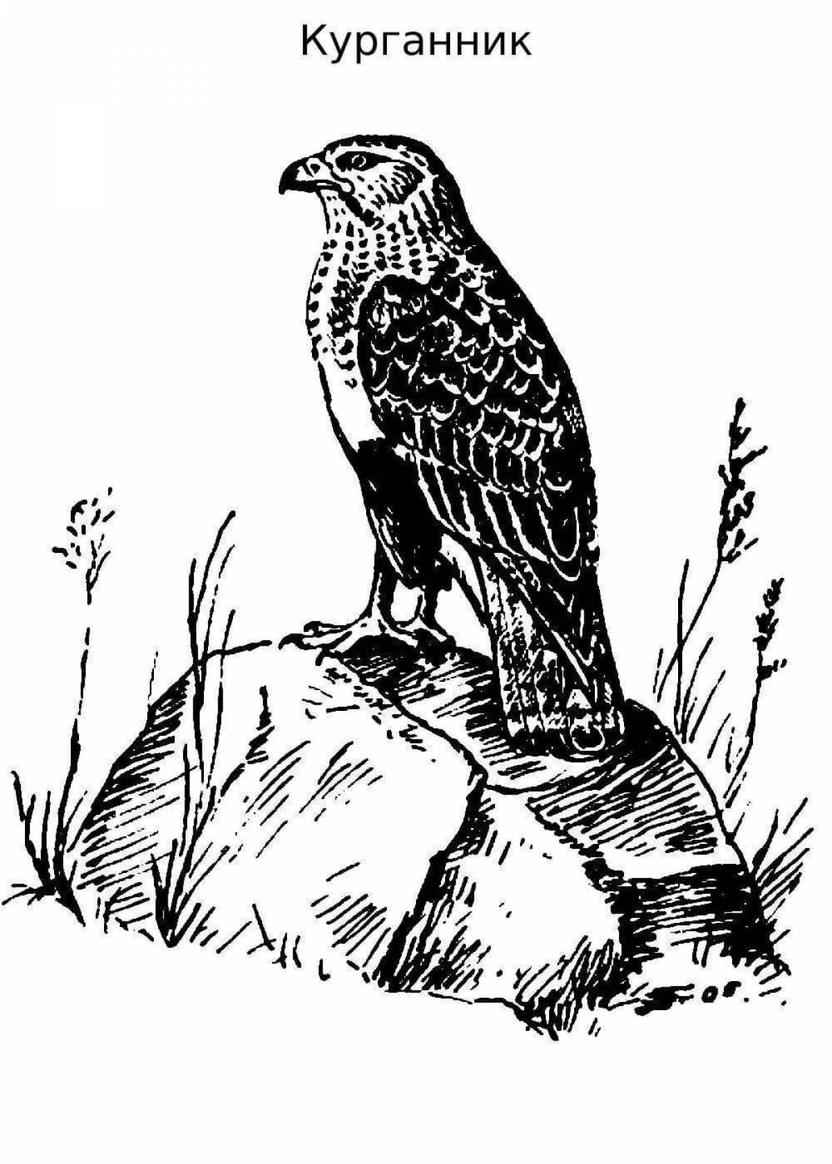 Glowing grouse coloring page