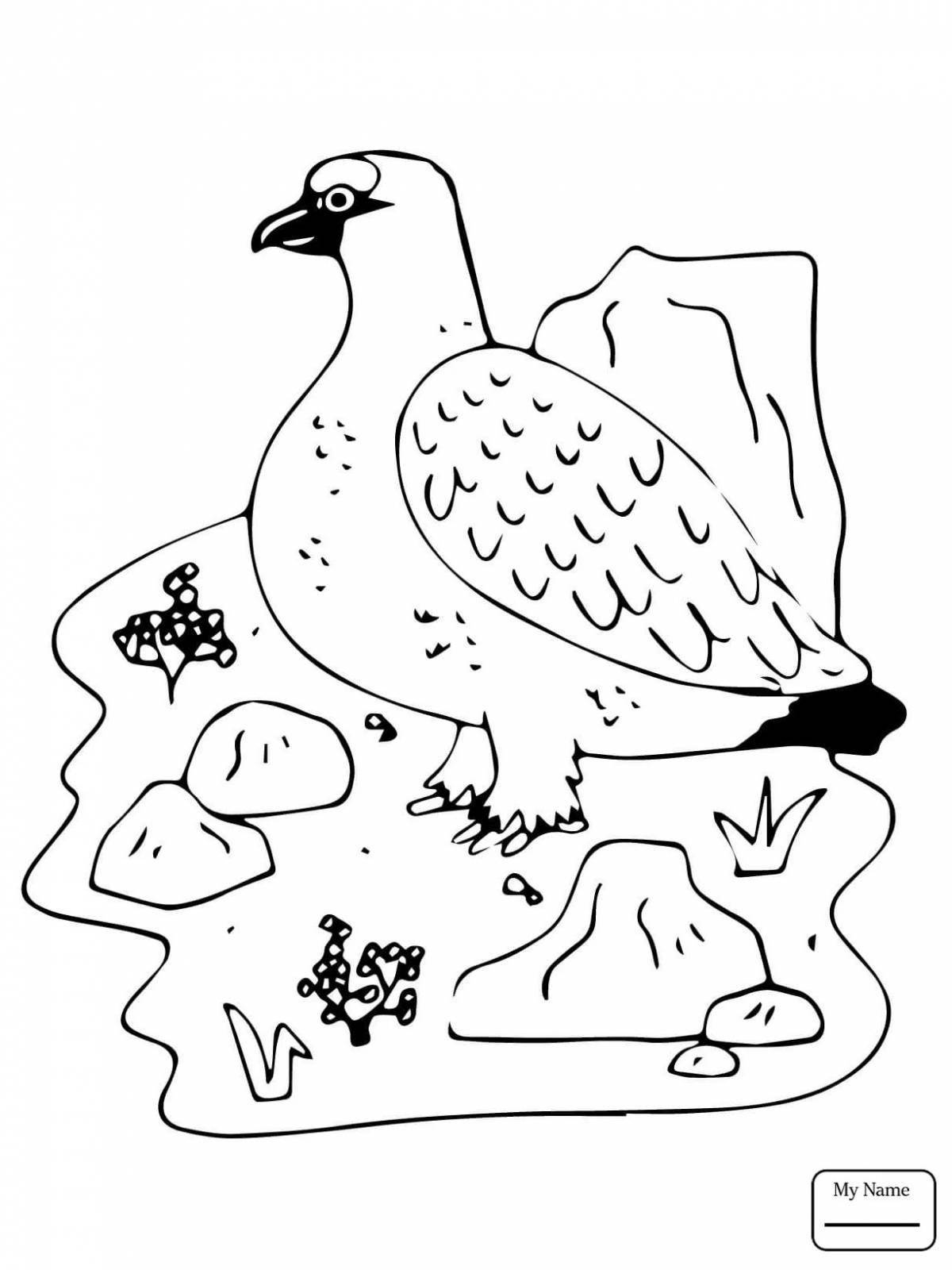 A striking black grouse coloring page