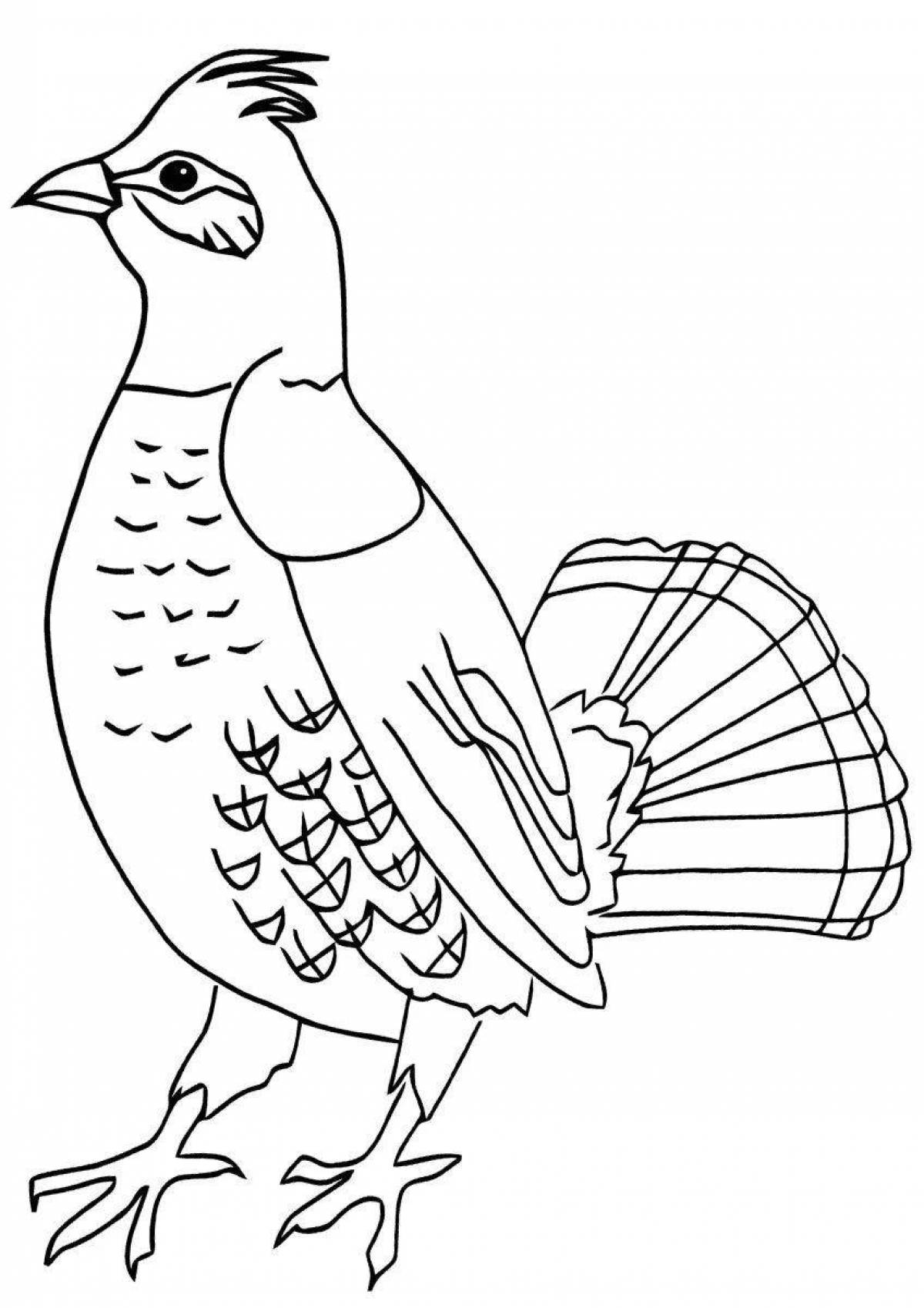 Coloring book beckoning black grouse
