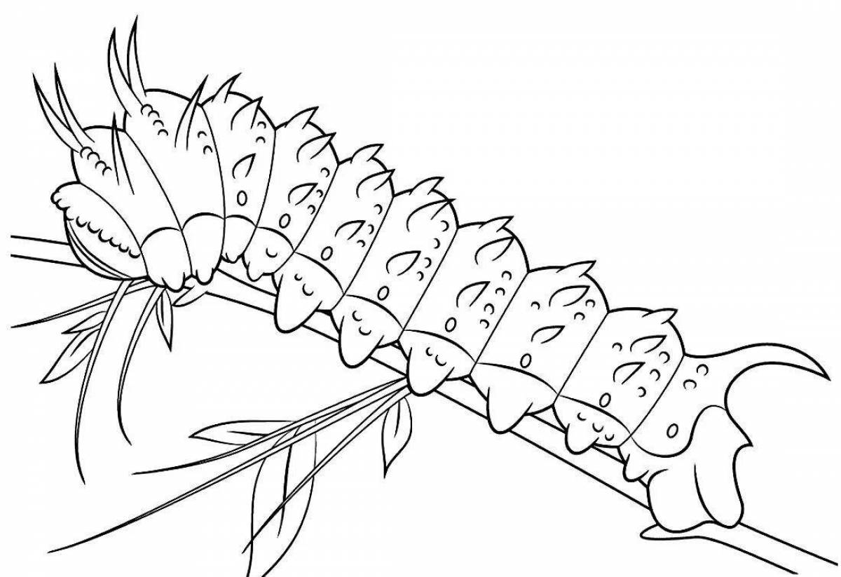 Caterpillar fun coloring