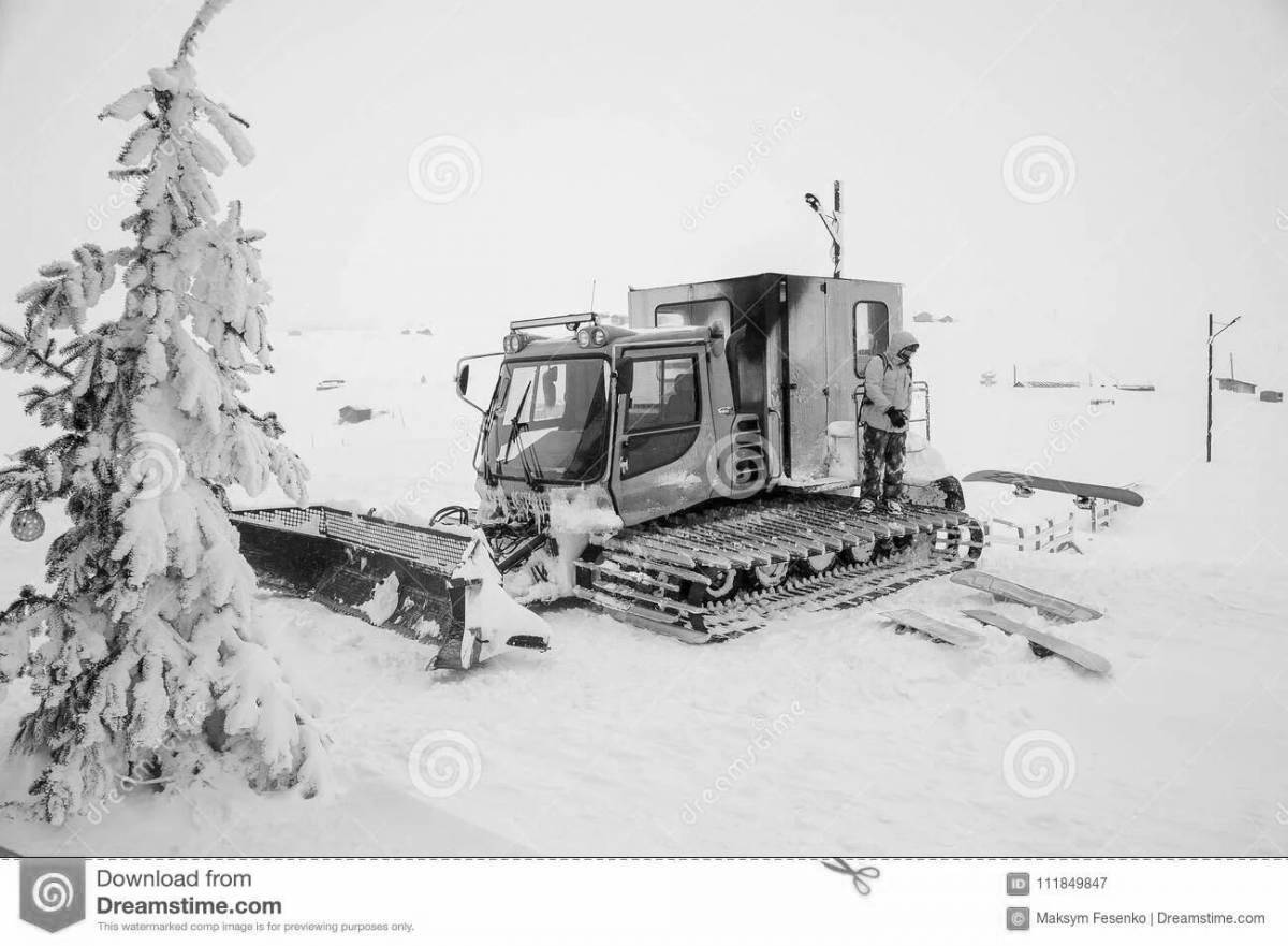 Coloring page charming snowcat