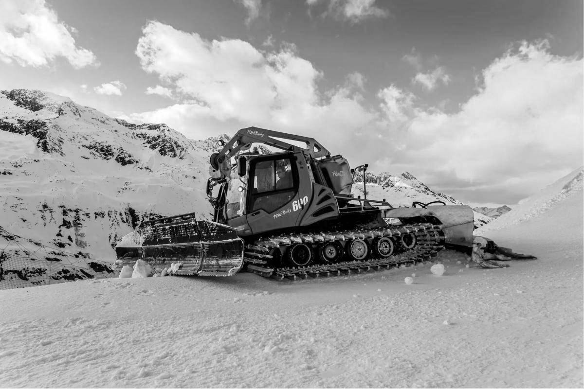 Coloring mystical snowcat