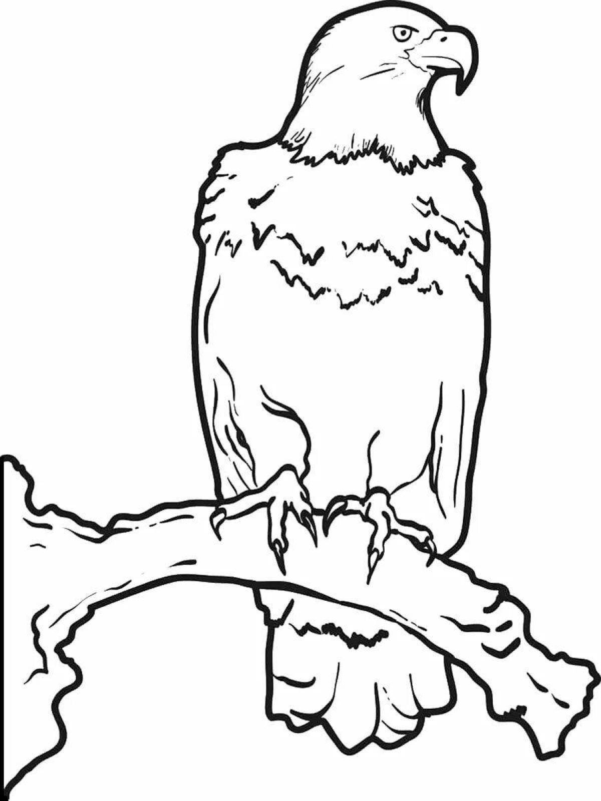 Gorgeous burkit coloring page