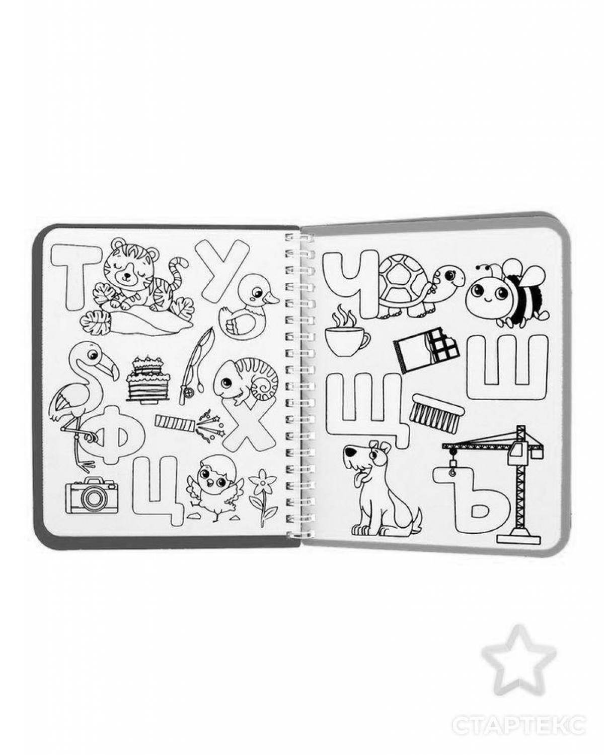 Reusable coloring book with colorful theme